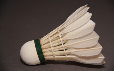 Shuttles Used in the Yonex All-England Badminton Championships
